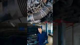 Как официалы разводят людей! Не дай себя обмануть! Лайвхак, который сохранит как минимум 30 000 р !