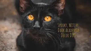 Halloween season has begun! DIY HALLOWEEN DECOR - Spooky DIY decor ideas