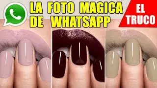 LA FOTO MÁGICA DE WHATSAPP QUE CAMBIA DE COLOR | EL TRUCO O SECRETO
