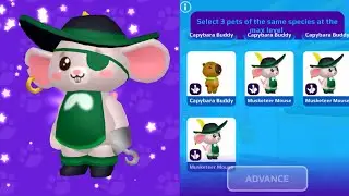 Making the pk xd musketeers mouse rideable | pk xd pet update 😍🌟 #pkxd