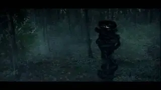 Something in the forest