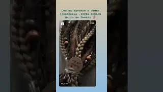 Много перьев не бывает #декосы #афропрически