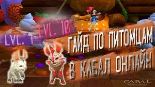 Гайд по питомцам в Кабале | Cabal Online 2021