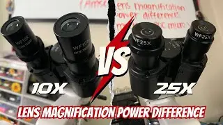 Lens Magnification Power Differences in the Amscope B120C Microscope