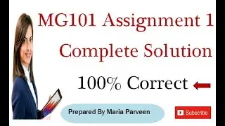 MGT101 Assignment 1 Solution 2021 By Maria Parveen || MGT101 Assignment 1 Solution FALL 2020