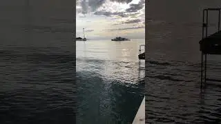 Beautiful view in Bodensee, Bregenz, Vorarlberg, Austria 🇦🇹 Österreich 