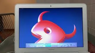 Apple Macbook White 2009 runs FreeBSD 13