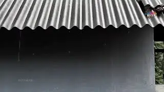 Beautiful Heavy Rain and Deep Thunder Sounds with Crickets, Frog Sound Effect for Sleep Instantly.