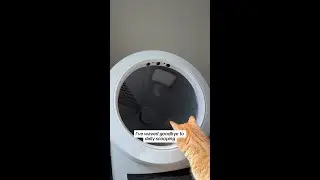 You Need This If You Hate Scooping Cat Poop