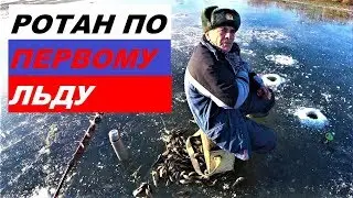 ROTANN ON THE FIRST ICE