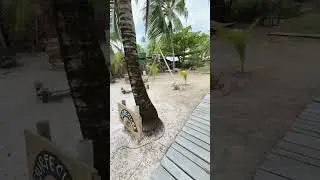 Praia de SANTO ANTÔNIO - Linha verde Bahia
