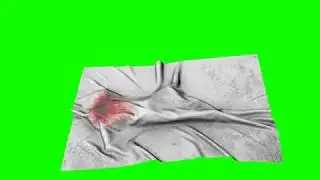 4K Green Screen Free - DEAD BODY BLOODY SHEET - 3D ANIMATION