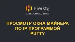 Hive OS - удаленный просмотр окна майнера по сети программой PuTTY