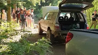 Forester Club, поляна май 2024