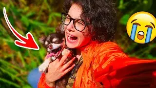ЧТО СЛУЧИЛОСЬ на ПРОГУЛКЕ с ЮМИ?! Купила бассейн для собак, дети аистов подросли! ЭПИК ВЛОГ