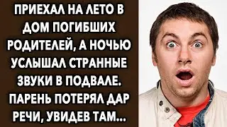 Приехал на лето в дом родителей, а ночью услышал странные звуки в подвале…