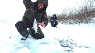 Fishing with a jig. Catching dace in spring, how to choose the wiring....