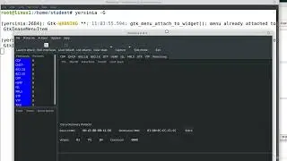 Hacking DHCP Discover Flooding Attack using Yersinia DoS ||DHCP Snooping: Enhancing Network