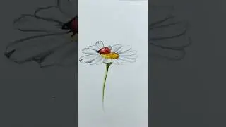Рисуем ромашку за 1 минуту 