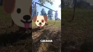 На тик токершу напала малолетняя девочка квадроберша 👀