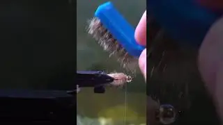 Muncy Creek Mop Fly! 