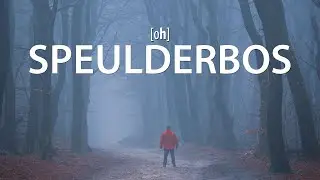 Nebel im Speulderbos - Fotowalk in den Niederlanden mit Bart Ros und Matthijs Bettman