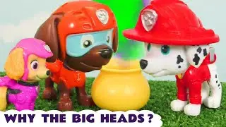 How did Pups Marshall and Zuma get such massive Heads