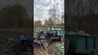 Вот это капуста!