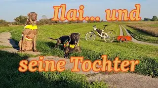 Besuch von Ilais Tochter ...und ein Nachwort zur Hundeerziehung