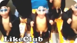 Китайские игрушки трясут писюнами
