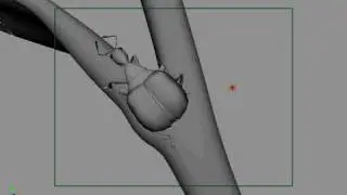 3d animation of a bug