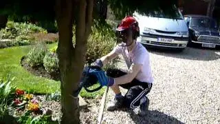 Chopping trees