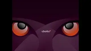 005 - شرح تثبيت وإعداد  Dnsmasq على Ubuntu  كـ  Local DNS Resolver