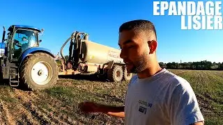 Épandage de lisier avant le Ray Grass !