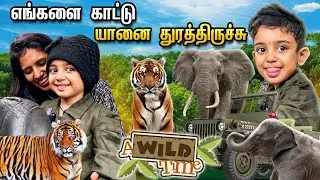 😈 Just La Thapichom..😅🤣#anjuzlifestyle #video #funny #animals #wayanad