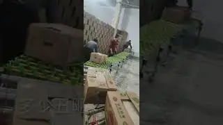 Portable Flexible Extendable Gravity Electric Roller Conveyor roller