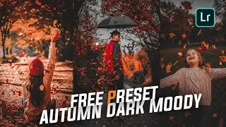 Free Download Moody Fall Lightroom Mobile Presets | Lightroom Mobile Preset DNGl | Moody Fall Preset