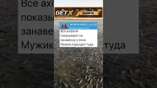 Воры есть? 