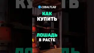 Как купить лошадь в расте конь rust 