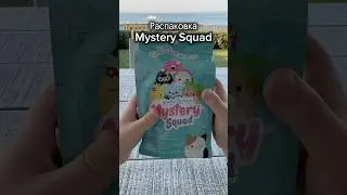 Распаковка Mystery Squad. Squishmallows #squishmallows #распаковка #mysterysquad #обзор #unboxing