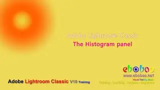Adobe Lightroom Classic - The Histogram panel