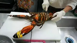 Корейская Еда - Гигантский Омар,Сашими,Масло Чили. Морепродукты Корея.