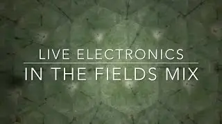 In the fields mix (live electronics)