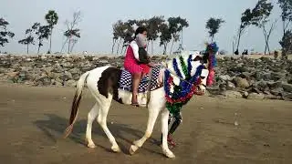 Little Adi Riding Horse | New Digha Sea Horse Riding | Sea Beach Horse Riding