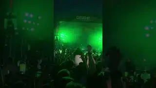 Saluki - boy$ 17.08.24 live