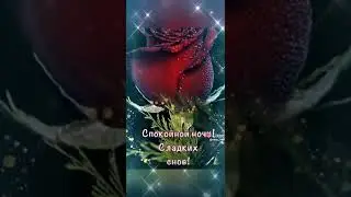 Спокойной ночи любимая!
