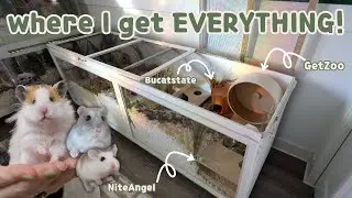 Where I Buy My Hamster Supplies + A Look Inside My Cages!