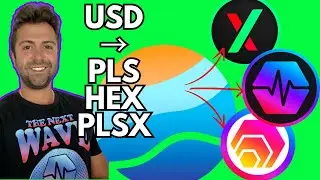 USA Unlocked! PulseChain Update. Best Crypto Exchange. (How To Buy PulseChain HEX and PulseX)