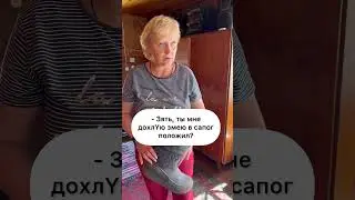 Зять и тёща 🤣
