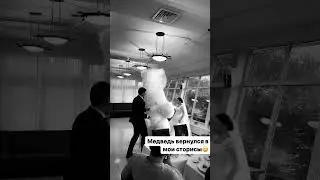 #медведь